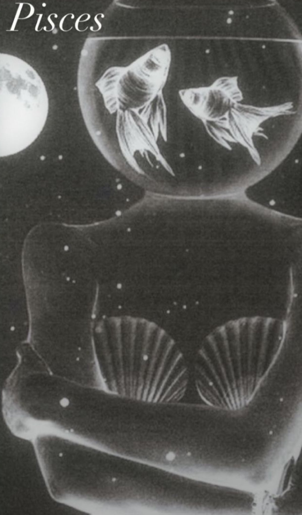 Kai’s *SALE* New Moon In Pisces♓️— Full Length General Read